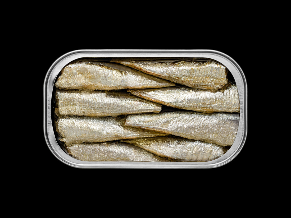 Why High-Quality Fish Oil Matters for Your Health