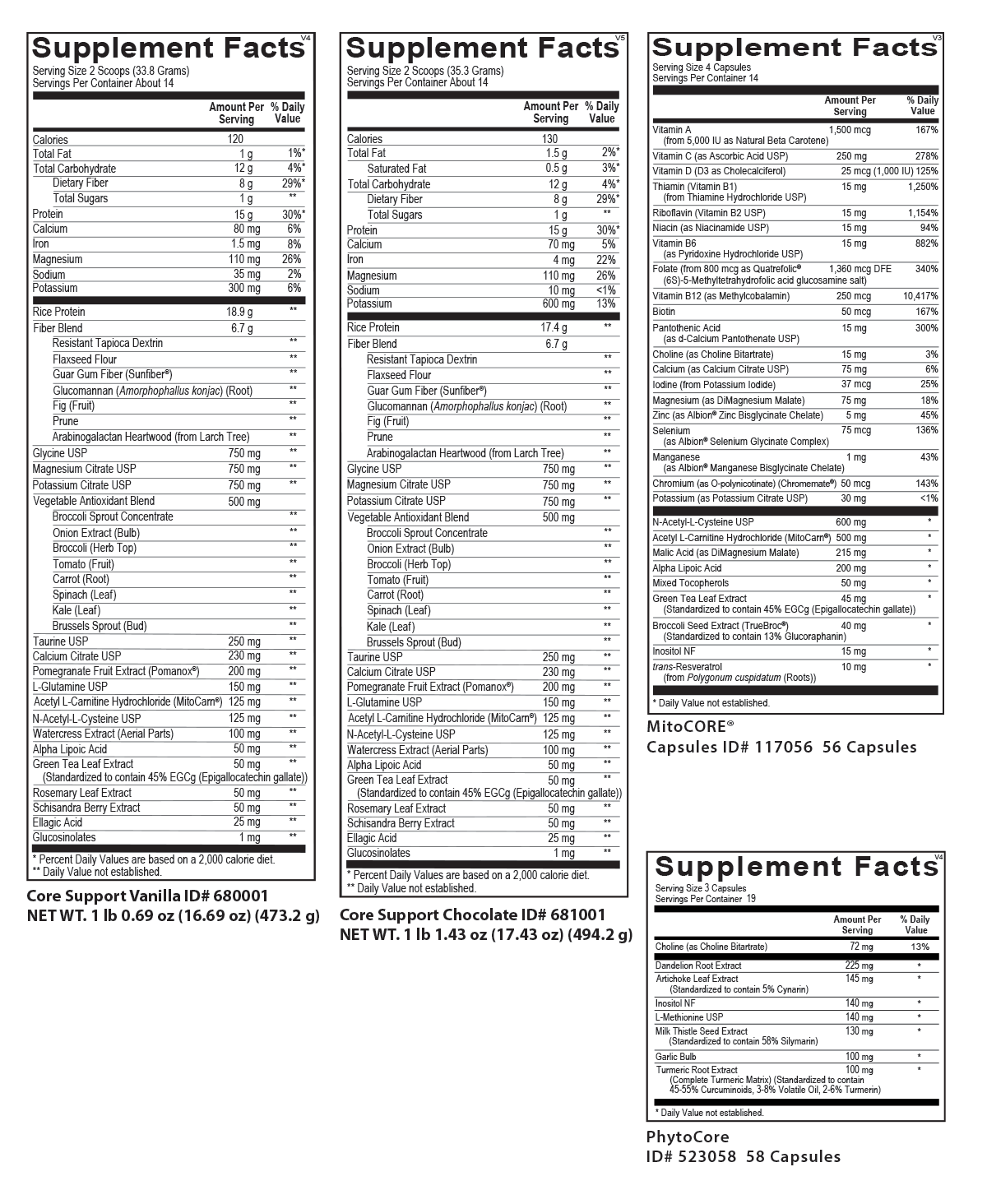 Core Support - Chocolate (14 Servings) - Vitalized 